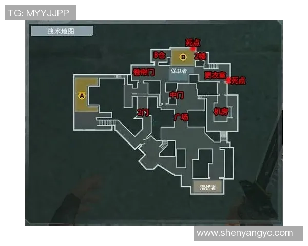 深圳排球队区域防守体系解析与战术应用探讨