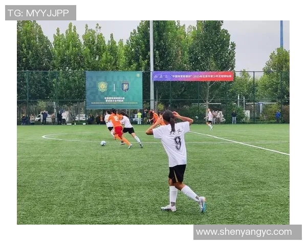 最新足球战术十大排名揭晓北京足球队凭借创新战术稳居榜首