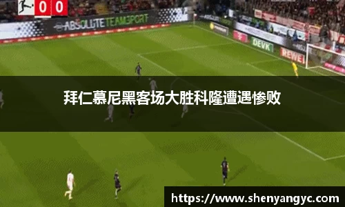 伟德bv国际