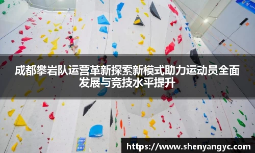 伟德bv国际